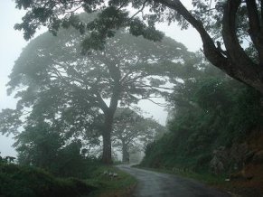 Misty Hills of Sri Lanka
